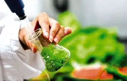 1651805926184489.png image.png