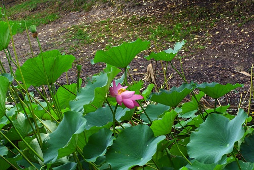 1665466671172987.png image.png