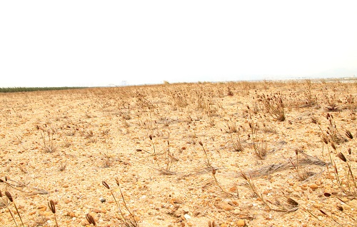 土壤養(yǎng)分測(cè)試儀的檢測(cè)效率如何？可以多個(gè)樣品同時(shí)檢測(cè)嗎