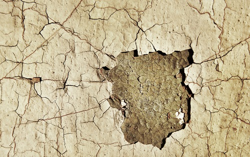 應(yīng)對(duì)旱災(zāi)威脅，這樣監(jiān)測土壤（認(rèn)準(zhǔn)土壤墑情速測儀的4大突出性能）