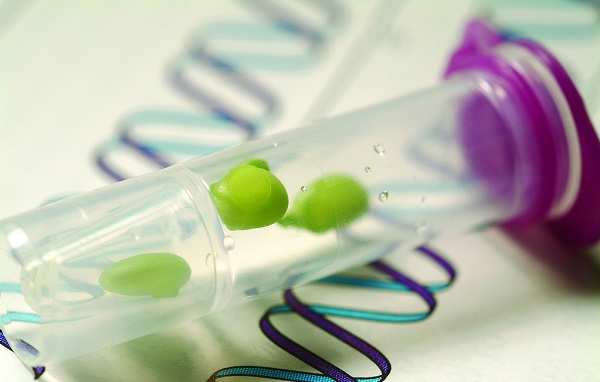 種子發(fā)芽所需要的條件，種子發(fā)芽箱都可以提供嗎？