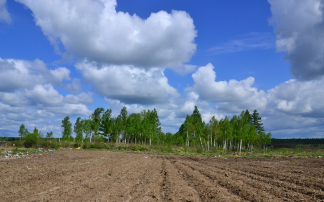 土壤養(yǎng)分速測(cè)儀有什么作用？？土壤養(yǎng)分速測(cè)儀三大功效詳解