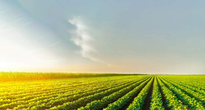 土壤PH測(cè)定儀到底是怎么用的？（土壤ph檢測(cè)儀的使用方法）