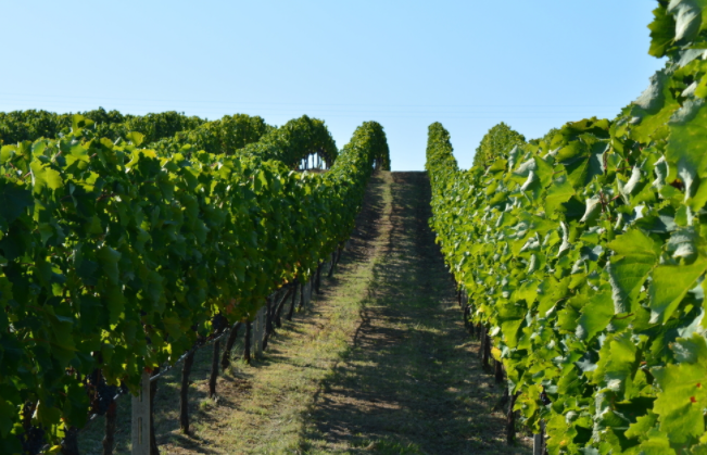 土壤團(tuán)粒結(jié)構(gòu)是個(gè)什么概念？土壤團(tuán)粒結(jié)構(gòu)分析儀測(cè)什么？