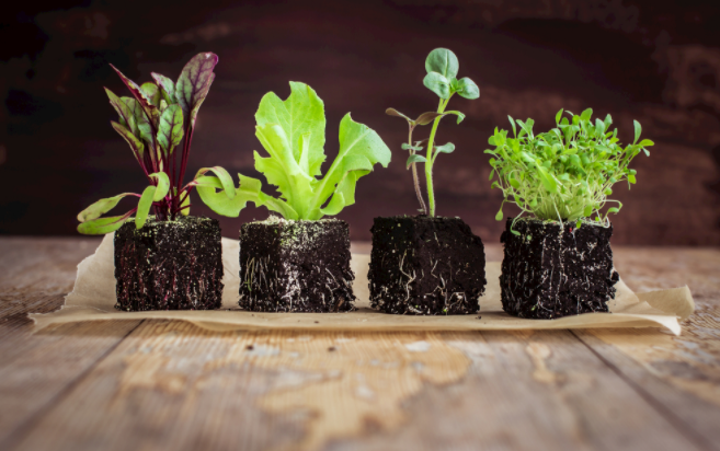 如何判斷土壤的好壞？土壤養(yǎng)分測(cè)量?jī)x能否提供制定施肥方案？