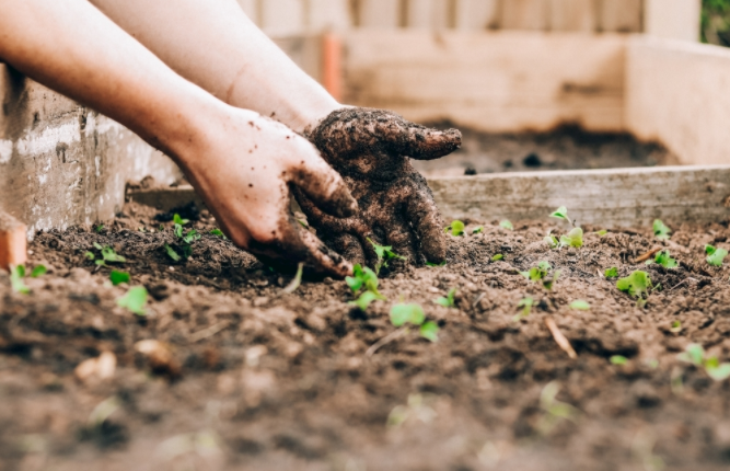 土壤墑情監(jiān)測系統(tǒng)與普通儀器對比有何優(yōu)勢？(土壤墑情監(jiān)測系統(tǒng)的作用)