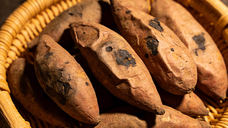 農(nóng)藥殘留檢測儀準確鎖定“毒紅薯”元兇，克百威、甲拌磷檢測能力再升級