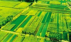 商品糧基地食品安全快速檢測(cè)儀的應(yīng)用